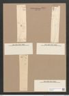 Pleurosigma speciorum W.Sm. (de-Toni-Nr.: Genus 13, Species 1007) Zeichnungen Sammlung Grunow Nr. 2049 (NHMW-BOT-W0368906)